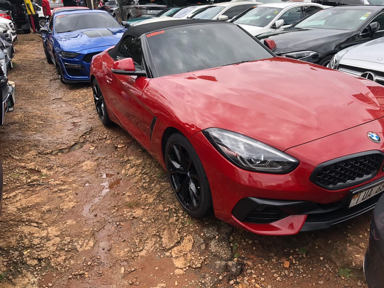 2019 Ford Mustang thumbnail 3